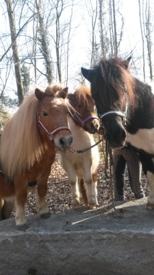 Zeila, Max und Zuleika : )