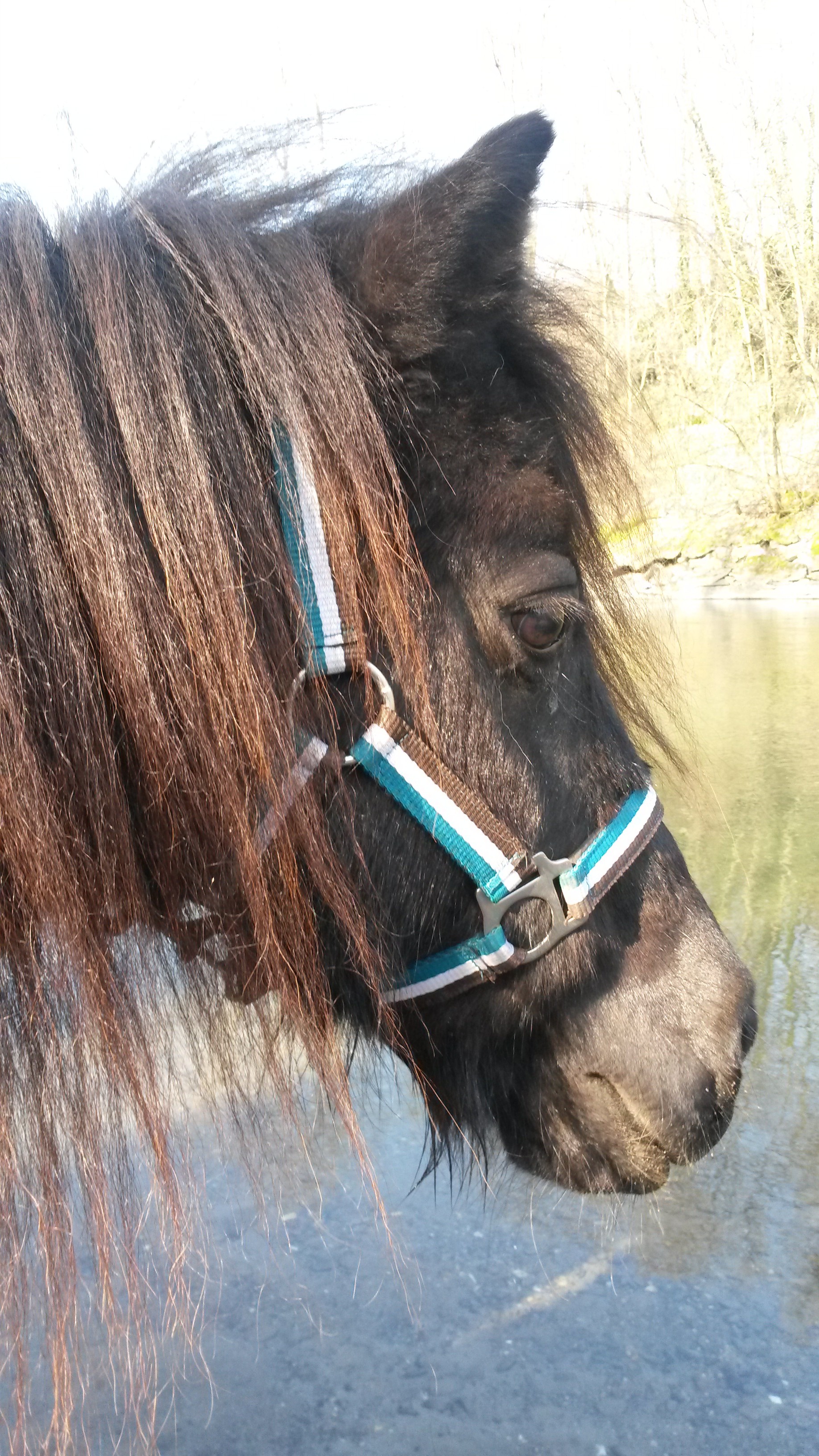 Zelia an der Aare : D