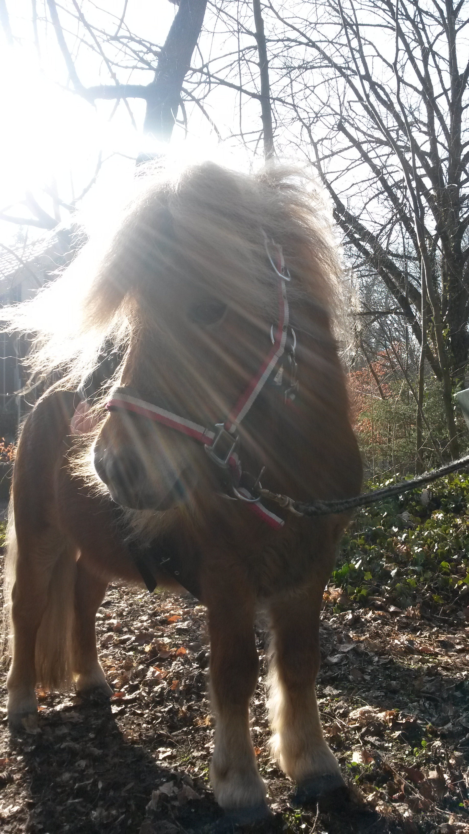 Max in der Sonne : )