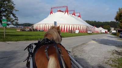 Max vor dem Zirkus "Monti"