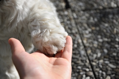 Hand in hand on a trip to wonderland: ) 