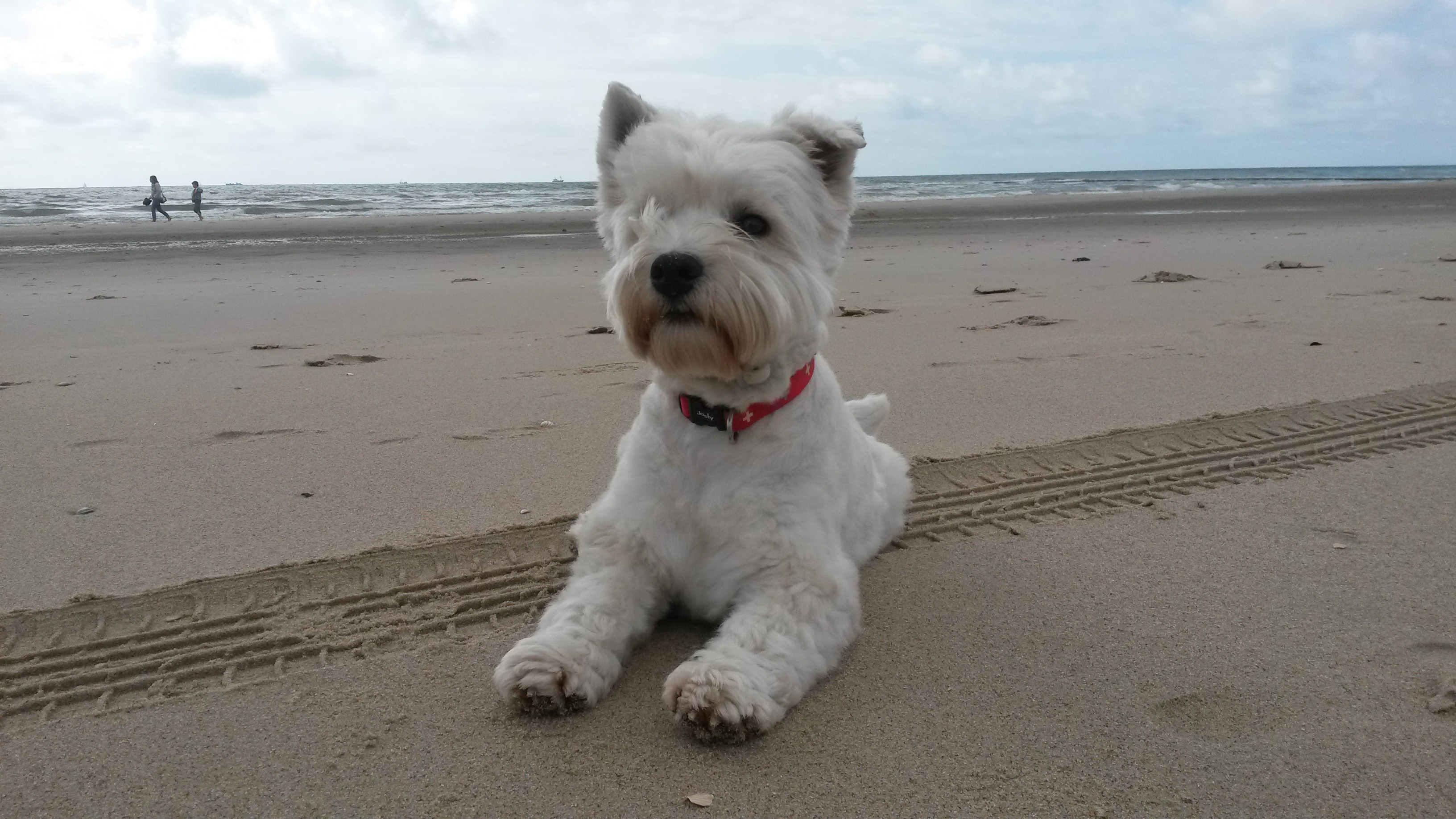 Olivia am Meer