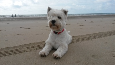 Olivia am Meer