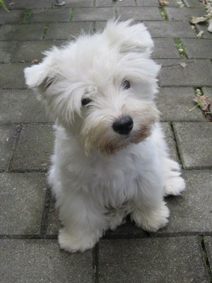 Olivia noch ganz jung! 